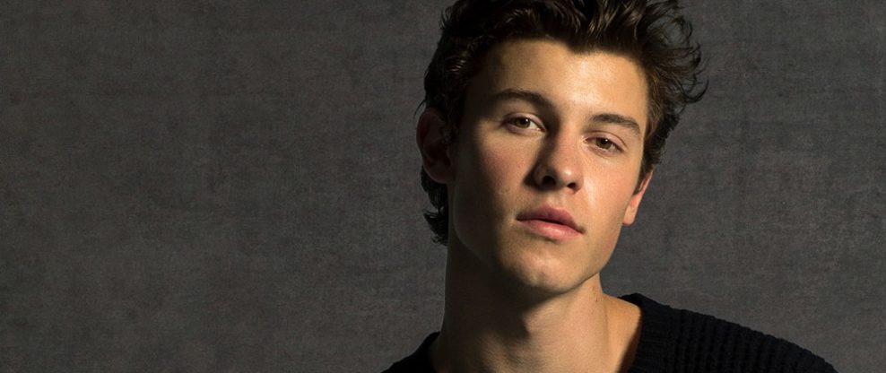 Shawn Mendes Announces 2019 Tour Plans