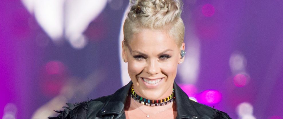 Pink Stops Concert To Comfort Grieving Fan