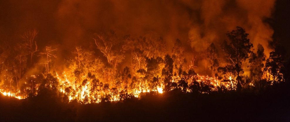 Wildfires Shutter Thousand Oaks PAC, Force Evacuation Of Malibu's Celebrities