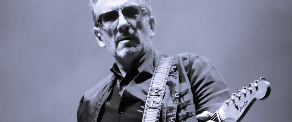 Elvis Costello