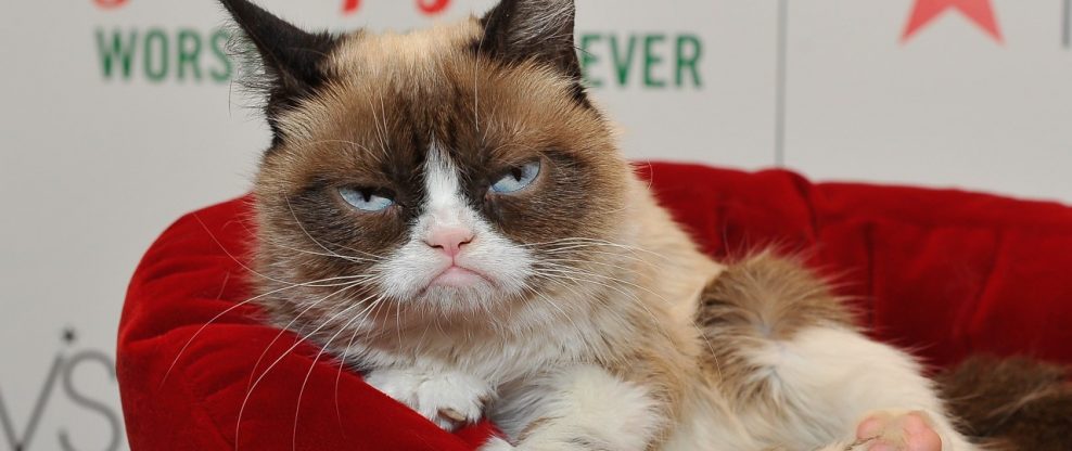 RIP Grumpy Cat