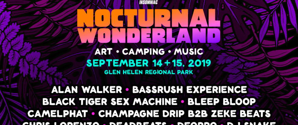 Nocturnal Wonderland