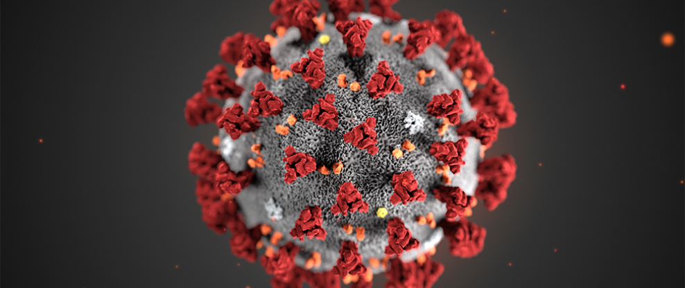 Novel nCov Coronavirus