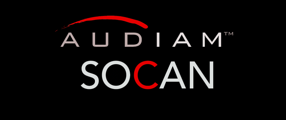 Audiam