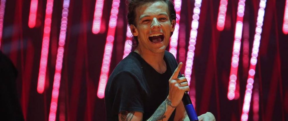 Louis Tomlinson Stops Washington DC Show to Help Fans