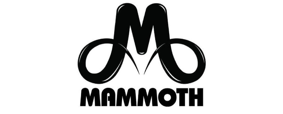 Promoter Mammoth, Inc. Expands with NYC Branch - Mammoth Northeast